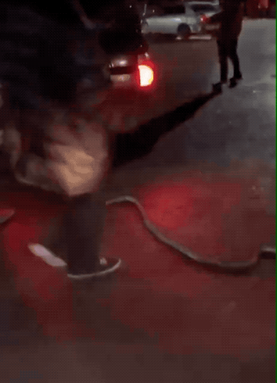 Expect the Un-EXPECTED