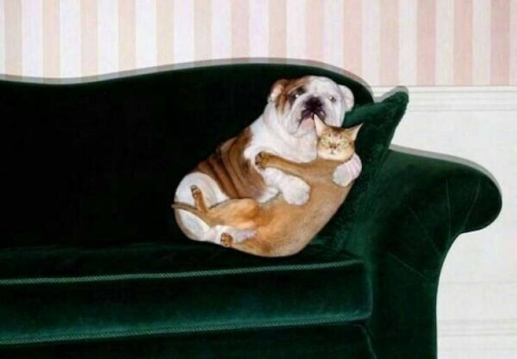 daily picdump 44 pics 13.html - 44 HD Photos | Premium Gallery 2026