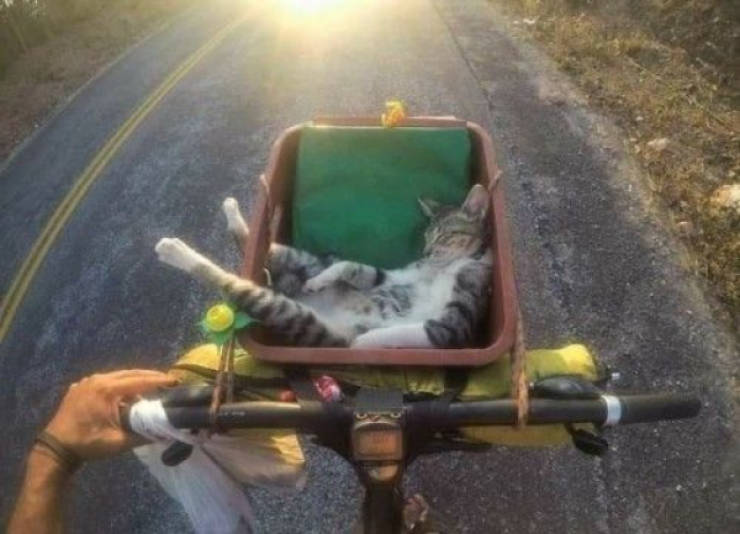 daily picdump 44 pics 13.html - 44 HD Photos | Premium Gallery 2026