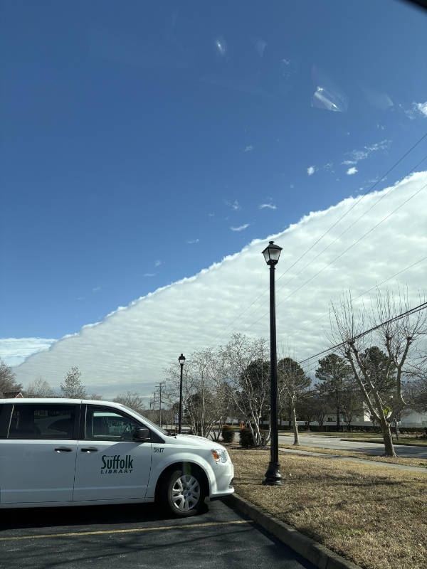 daily picdump 44 pics 13.html - 44 HD Photos | Premium Gallery 2026