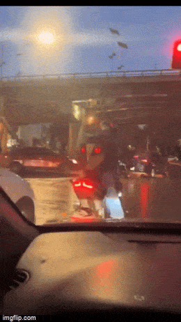 daily gifdump 42 gifs 2.html - 1 HD GIF | Premium Gallery 2026