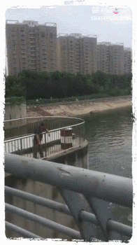 daily gifdump 42 gifs 2.html - 1 HD GIF | Premium Gallery 2026