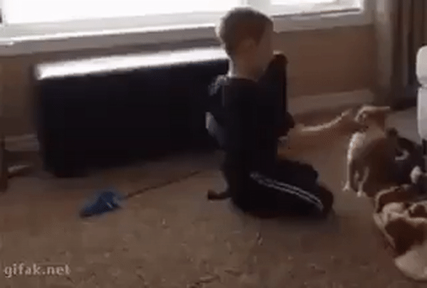 daily gifdump 42 gifs 2.html - 1 HD GIF | Premium Gallery 2026