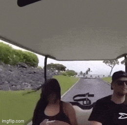 daily gifdump 42 gifs 2.html - 1 HD GIF | Premium Gallery 2026