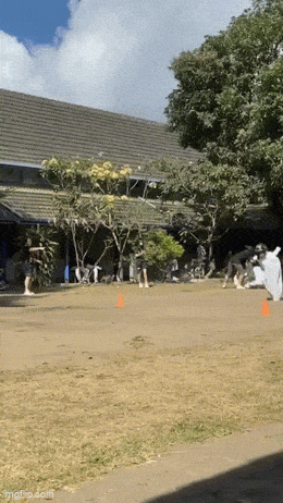 daily gifdump 42 gifs 2.html - 1 HD GIF | Premium Gallery 2026