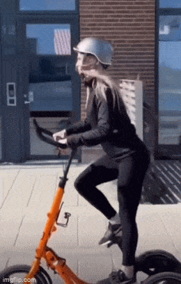 daily gifdump 42 gifs 2.html - 1 HD GIF | Premium Gallery 2026