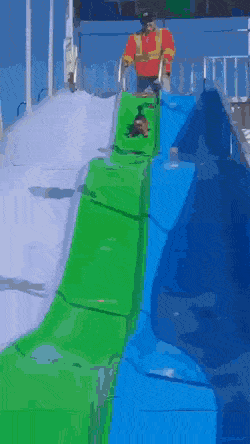 daily gifdump 42 gifs 2.html - 1 HD GIF | Premium Gallery 2026