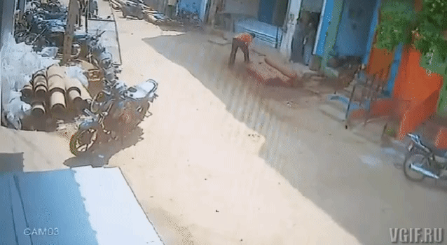 daily gifdump 42 gifs 2.html - 1 HD GIF | Premium Gallery 2026