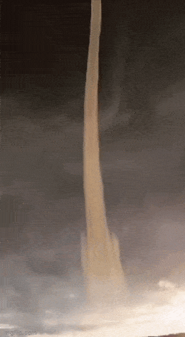 daily gifdump 42 gifs 2.html - 1 HD GIF | Premium Gallery 2026