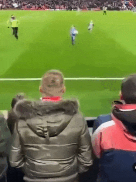 daily gifdump 42 gifs 2.html - 1 HD GIF | Premium Gallery 2026