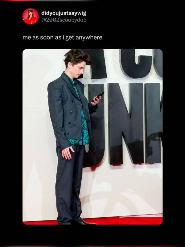 The Internet’s Weirdest Moments