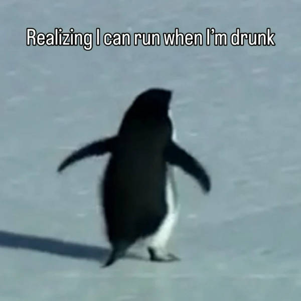 A Chaotic Mix of Internet Memes