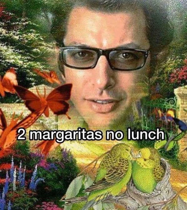 A Chaotic Mix of Internet Memes