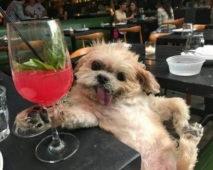 cheers everyone 32 pics 11.html - 32 HD Photos | Premium Gallery 2026