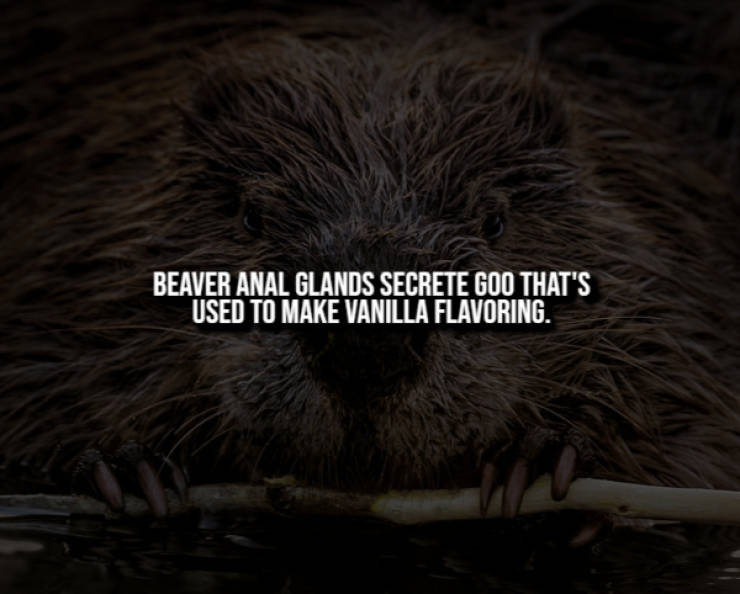 Creepy Facts That Will Haunt You