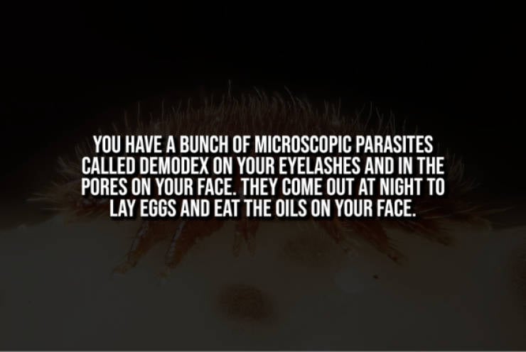 Creepy Facts That Will Haunt You