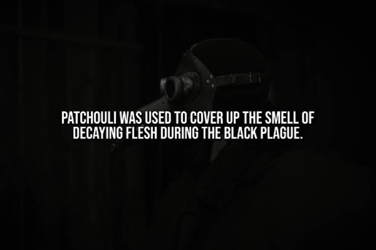 Creepy Facts That Will Haunt You