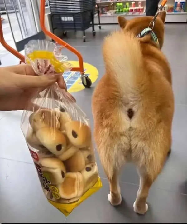 Prescribed Daily Dose of Dank Memes