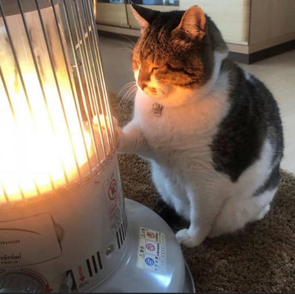 Somewhere Between Brilliant and Ridiculous