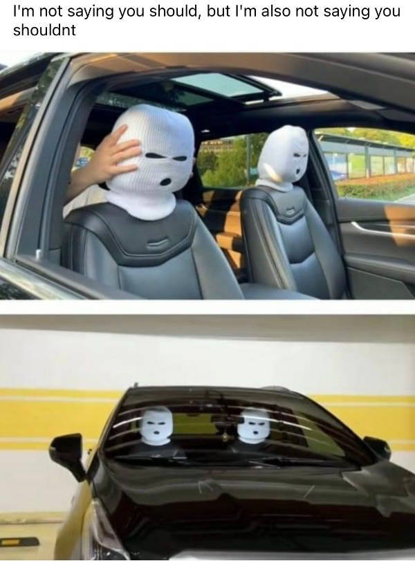 Somewhere Between Brilliant and Ridiculous