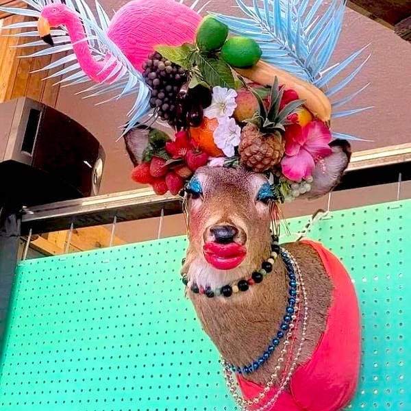 Weird Photos With Zero Context