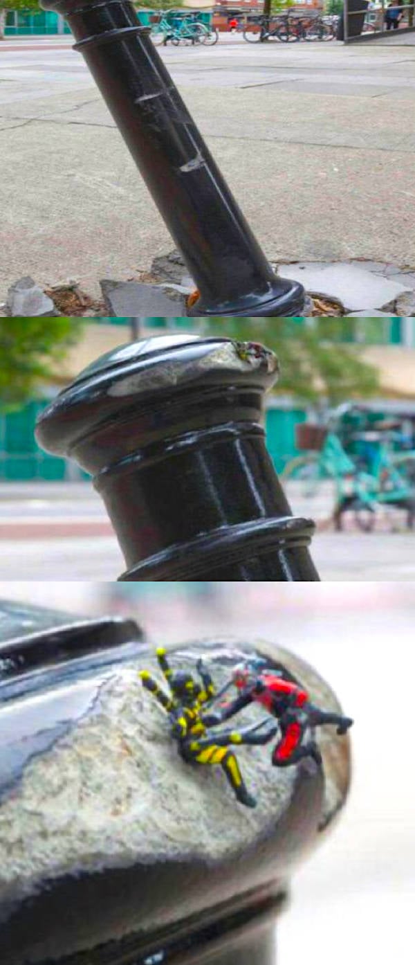 Weird Photos With Zero Context