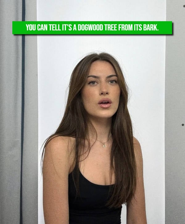 Girls, Give Us Your Best Jokes