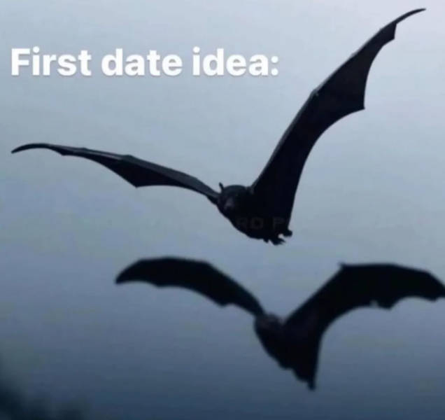 flirty memes to send to your better half 53 pics 5.html - 53 HD Photos | Premium Gallery 2026