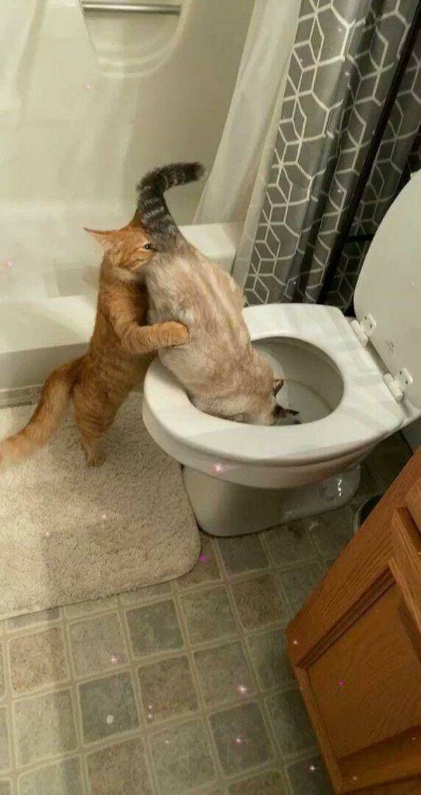 Dirty Dump For Dirty Minds