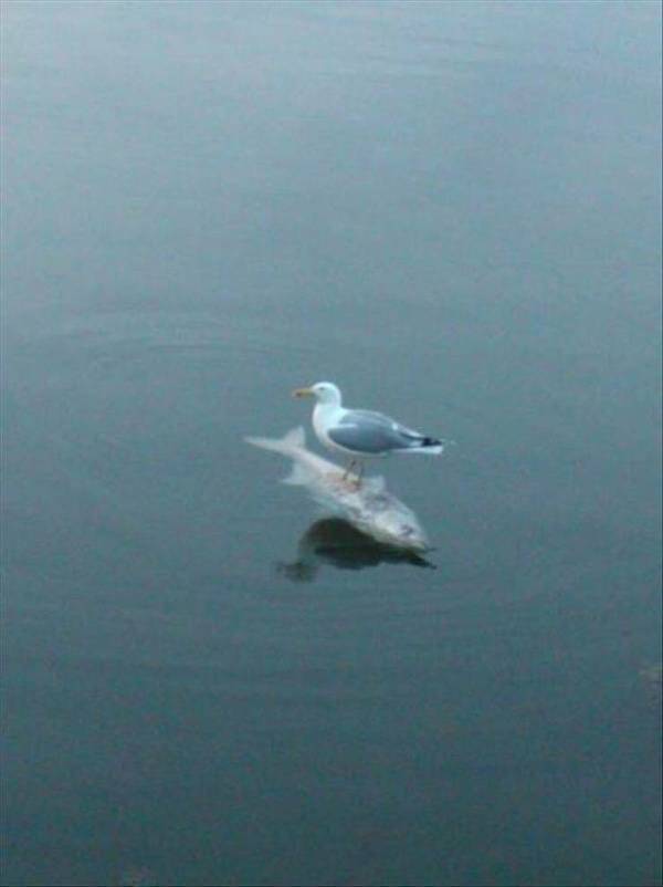 Dirty Dump For Dirty Minds