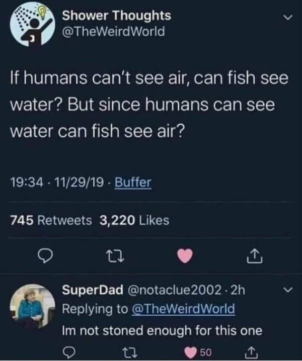 Dirty Dump For Dirty Minds