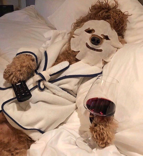 drinking never ends 34 pics 11.html - 34 HD Photos | Premium Gallery 2026