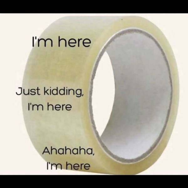 so dank it should be illegal 40 pics 2.html - 40 HD Photos | Premium Gallery 2026