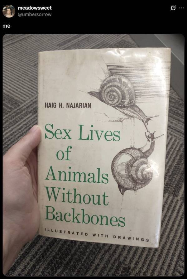 dirty minds are welecome 36 pics 16.html - 36 HD Photos | Premium Gallery 2026