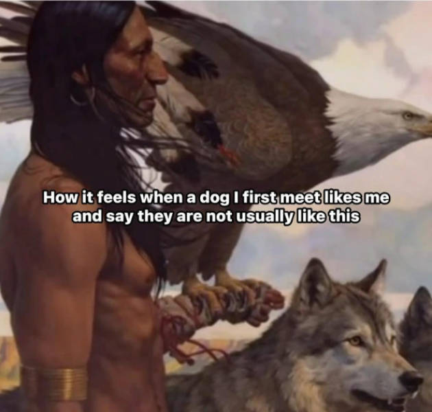 certified dank memes you need right now 33 pics 11.html - 33 HD Photos | Premium Gallery 2026