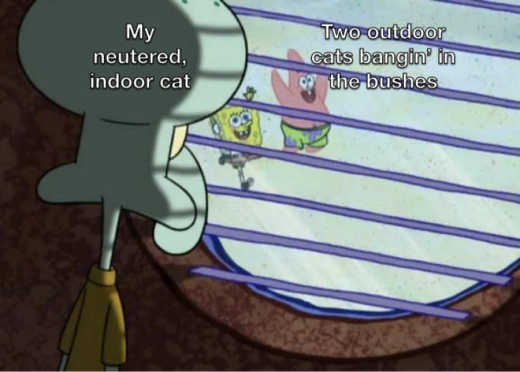 certified dank memes you need right now 33 pics 11.html - 33 HD Photos | Premium Gallery 2026