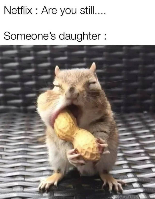 Certified Dank Memes You Need Right Now