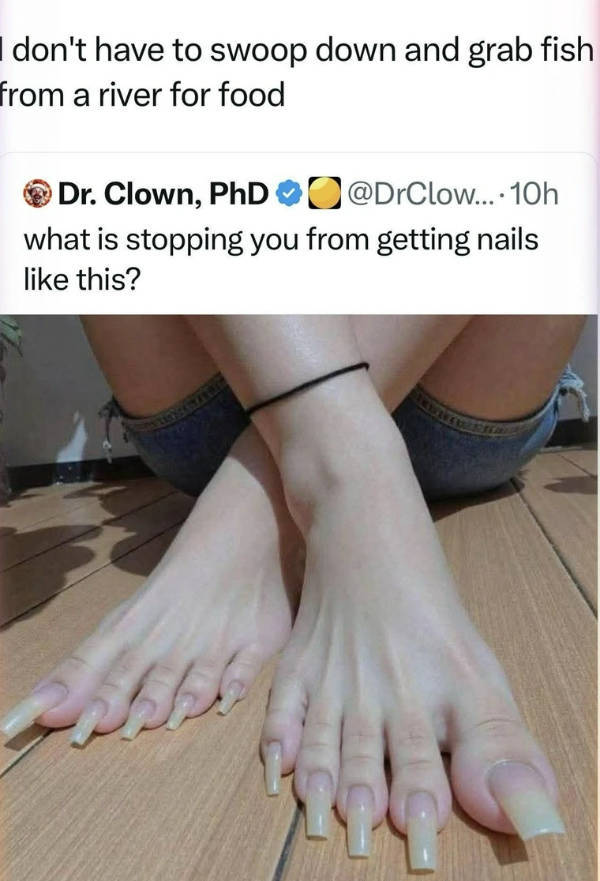 certified dank memes you need right now 33 pics 11.html - 33 HD Photos | Premium Gallery 2026