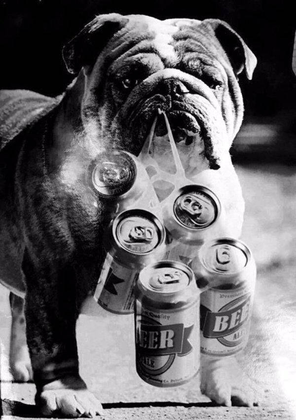 cheers everyone 37 pics 7.html - 37 HD Photos | Premium Gallery 2026