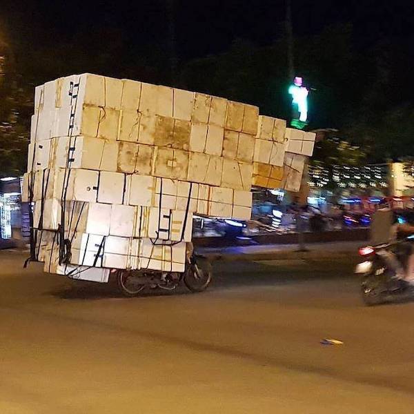 daily picdump 43 pics 10.html - 43 HD Photos | Premium Gallery 2026