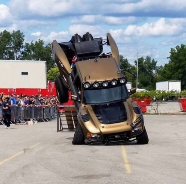 daily picdump 43 pics 10.html - 43 HD Photos | Premium Gallery 2026