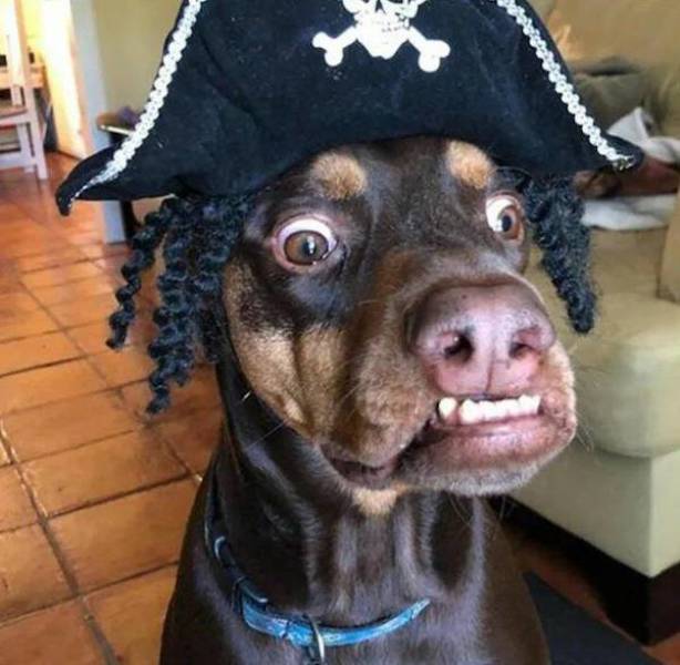 daily picdump 43 pics 10.html - 43 HD Photos | Premium Gallery 2026