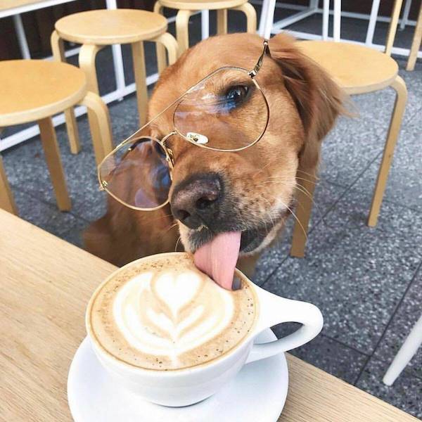 daily picdump 43 pics 10.html - 43 HD Photos | Premium Gallery 2026