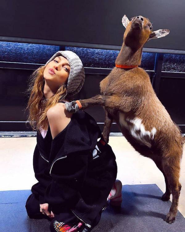 daily picdump 43 pics 10.html - 43 HD Photos | Premium Gallery 2026