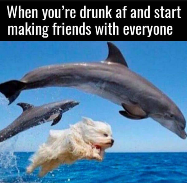 Drinking Never Ends!