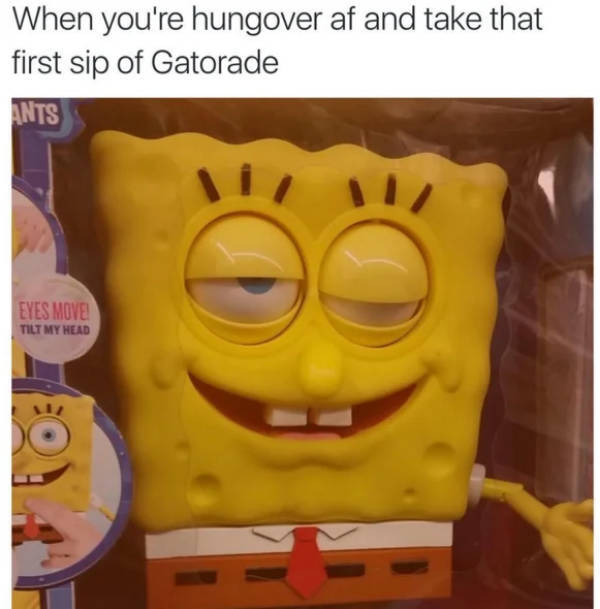 Drinking Never Ends!