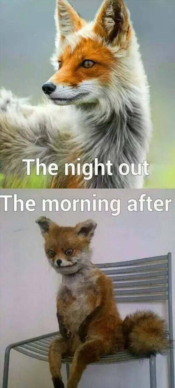 Drinking Never Ends!