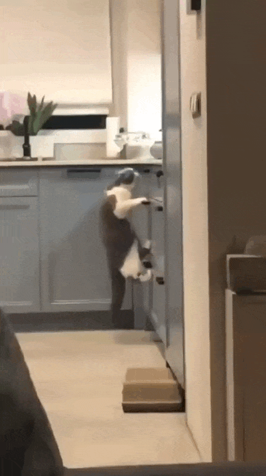 daily gifdump 47 gifs 6.html - 1 HD GIF | Premium Gallery 2026
