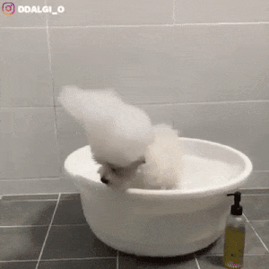 daily gifdump 47 gifs 6.html - 1 HD GIF | Premium Gallery 2026