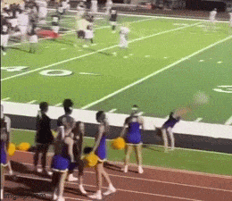 daily gifdump 47 gifs 6.html - 1 HD GIF | Premium Gallery 2026